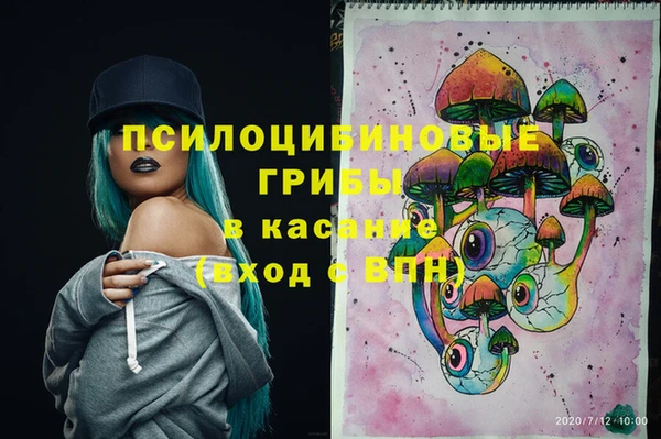 a pvp Вяземский