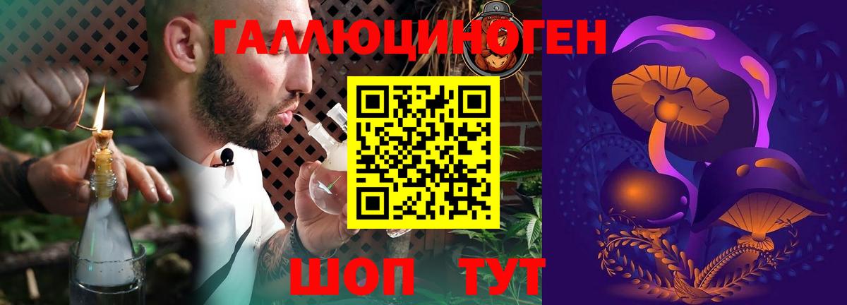 Заводоуковск  Псилоцибиновые грибы MAGIC MUSHROOMS  наркотики  Вход с VPN 